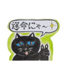 3匹の虹尾猫(にじおねこ)とアミダクジ（個別スタンプ：12）