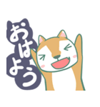 可愛い ねこいぬセット（個別スタンプ：1）