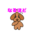 公式犬（個別スタンプ：19）