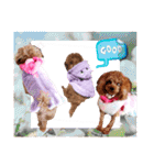 プードル犬マロン4（個別スタンプ：9）