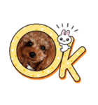 プードル犬マロン4（個別スタンプ：22）