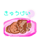 Hello Bisco（個別スタンプ：7）