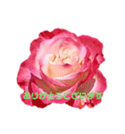 日常の一言に薔薇の花を添えて（個別スタンプ：12）