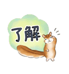 文字大きめ☆猫と動物たちのスタンプ（個別スタンプ：11）