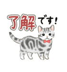 文字大きめ☆猫と動物たちのスタンプ（個別スタンプ：12）