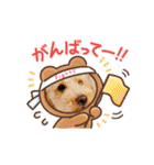 ジョーさん家のイッヌ2（個別スタンプ：1）