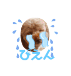 ジョーさん家のイッヌ2（個別スタンプ：4）
