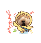 ジョーさん家のイッヌ2（個別スタンプ：6）