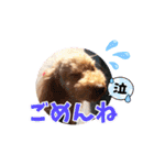 ジョーさん家のイッヌ2（個別スタンプ：11）