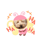 ジョーさん家のイッヌ2（個別スタンプ：13）