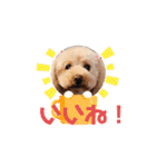 ジョーさん家のイッヌ2（個別スタンプ：14）