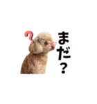 ジョーさん家のイッヌ2（個別スタンプ：20）