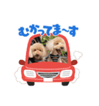 ジョーさん家のイッヌ2（個別スタンプ：26）
