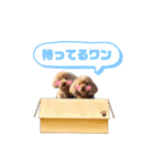 ジョーさん家のイッヌ2（個別スタンプ：32）