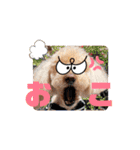 ジョーさん家のイッヌ2（個別スタンプ：35）