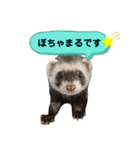 ぼくぽちゃまる！（個別スタンプ：1）