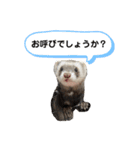 ぼくぽちゃまる！（個別スタンプ：4）