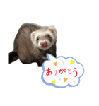 ぼくぽちゃまる！（個別スタンプ：6）