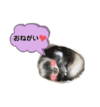 ぼくぽちゃまる！（個別スタンプ：9）