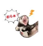 ぼくぽちゃまる！（個別スタンプ：12）