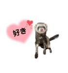 ぼくぽちゃまる！（個別スタンプ：14）