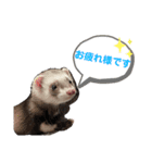 ぼくぽちゃまる！（個別スタンプ：15）