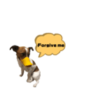 Jack_Russell_Terrier_2（個別スタンプ：14）