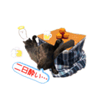 ジジキキちゃん（個別スタンプ：4）