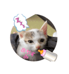 ジジキキちゃん（個別スタンプ：5）