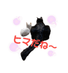 ジジキキちゃん（個別スタンプ：10）