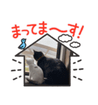 ジジキキちゃん（個別スタンプ：12）