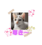 ジジキキちゃん（個別スタンプ：14）