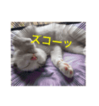 ジジキキちゃん（個別スタンプ：18）