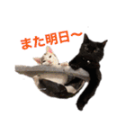ジジキキちゃん（個別スタンプ：24）