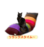 ジジキキちゃん（個別スタンプ：25）