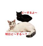 ジジキキちゃん（個別スタンプ：31）