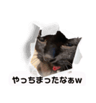 ジジキキちゃん（個別スタンプ：33）