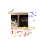 ジジキキちゃん（個別スタンプ：35）