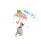 ジジキキちゃん（個別スタンプ：39）