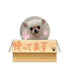 おばけのお千代と仲間達（個別スタンプ：7）
