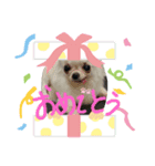おばけのお千代と仲間達（個別スタンプ：8）