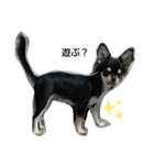犬のチョコ君8❤（個別スタンプ：9）
