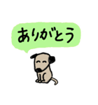 わんこっちセレクト（個別スタンプ：11）