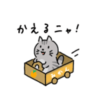 ひょうきんなねこたぬきスタンプ（個別スタンプ：7）