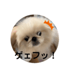 アネムとズズ（個別スタンプ：2）