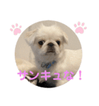 アネムとズズ（個別スタンプ：3）