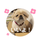 アネムとズズ（個別スタンプ：4）