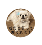 アネムとズズ（個別スタンプ：5）