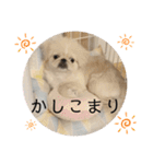 アネムとズズ（個別スタンプ：6）