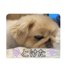 アネムとズズ（個別スタンプ：8）